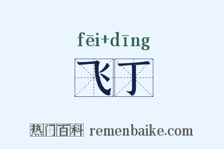 飞丁是什么意思的图片